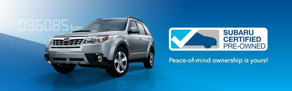 cd33c121490a2a263391d954b901e6c3x-1