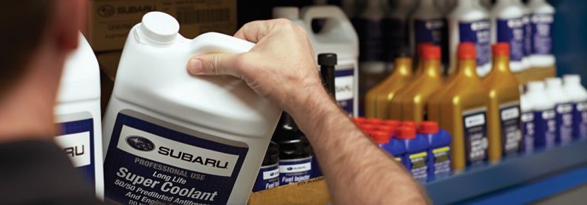 Picture of Subaru Super Coolant. | Hanania Subaru of Orange Park in Jacksonville FL