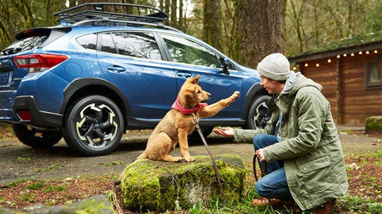Hanania Subaru of Orange Park in Jacksonville FL
