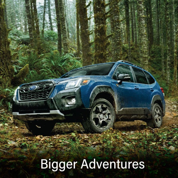 A blue Subaru outback wilderness with the words &ldquo;Bigger Adventures&ldquo;. | Hanania Subaru of Orange Park in Jacksonville FL