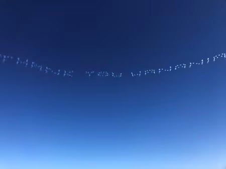 Hanania Subaru of Orange Park in Jacksonville FL