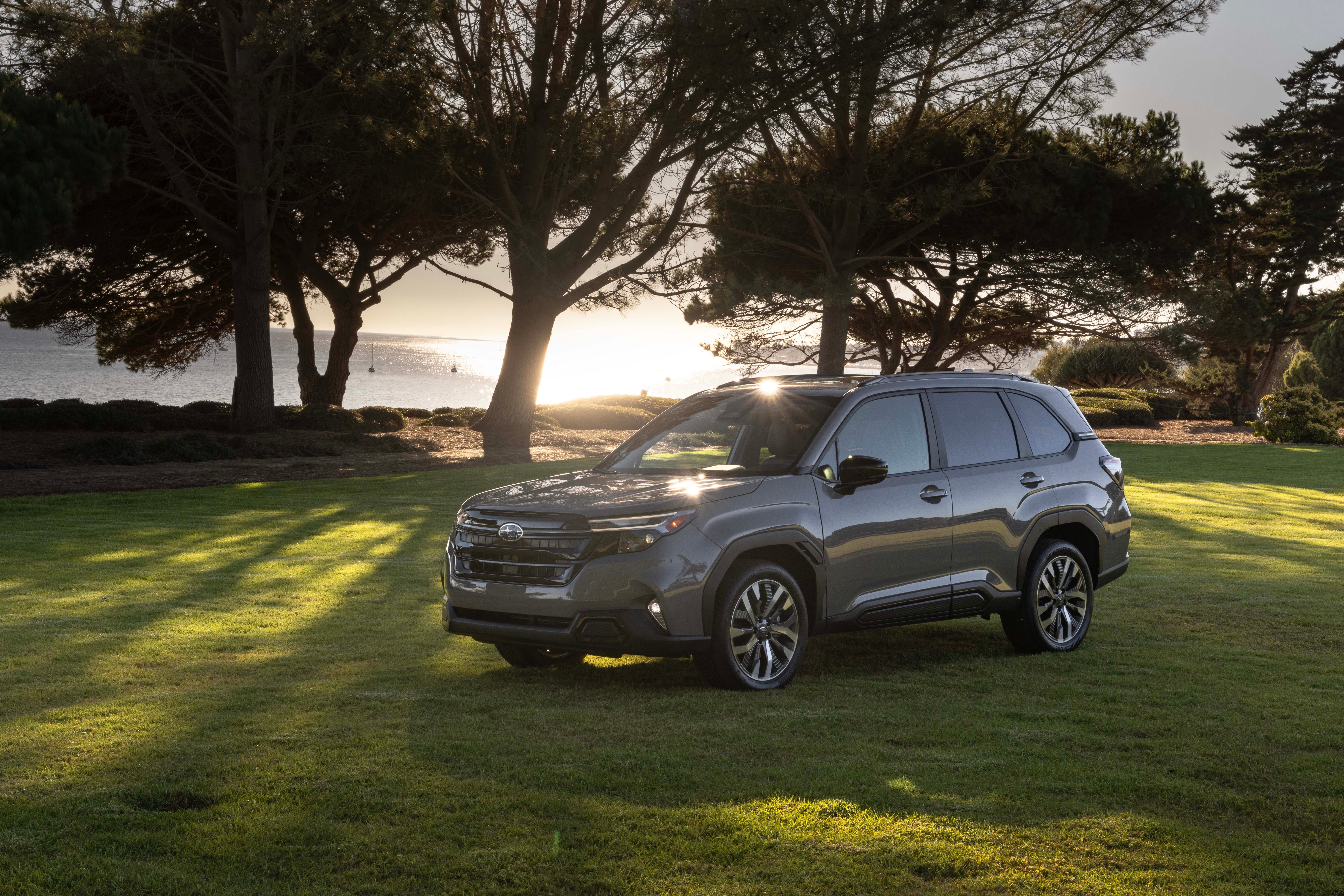 a 2025 subaru forester parked next to a pond with a park bench in front and a large tree overhanging.