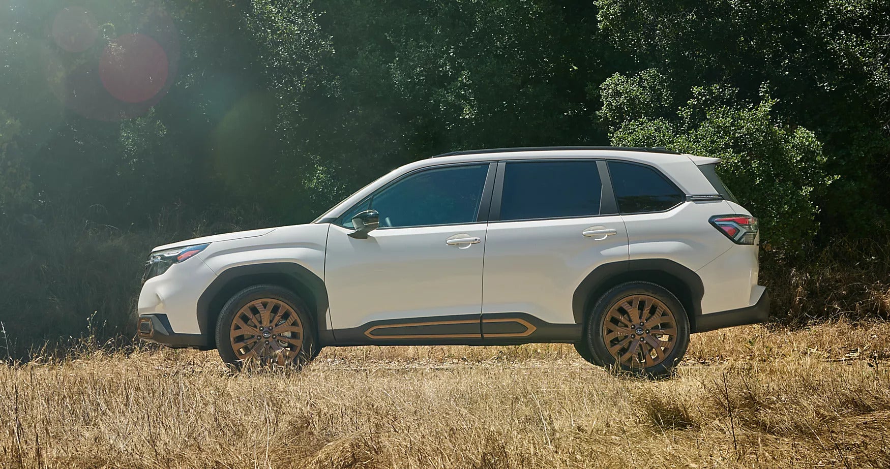 a white subaru forester parked in a meadow with woods around.