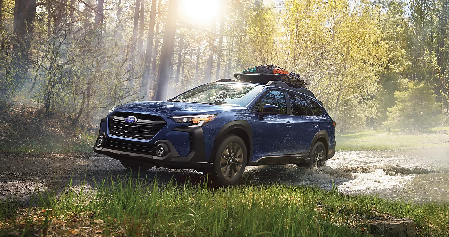 A blue suv sitting in a forest.