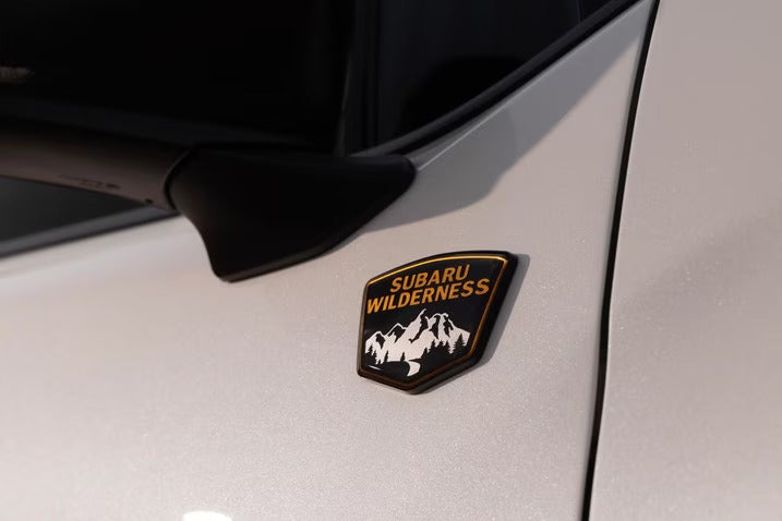 A close look at the side of a forester wilderness.