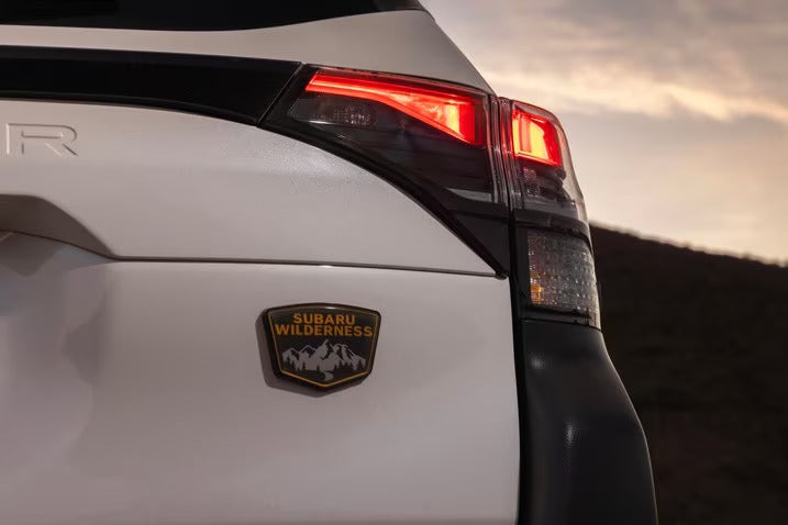 A close look at the rear end of a forester wilderness.