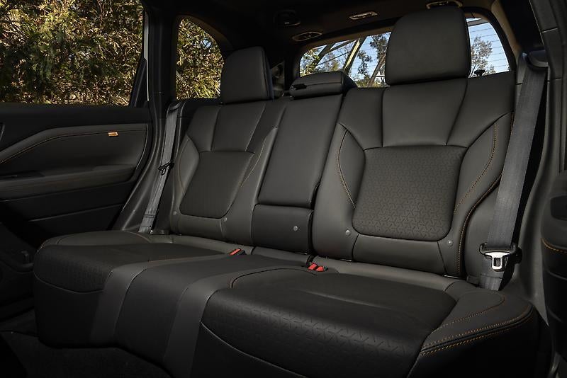 The interior design of the forester wilderness.