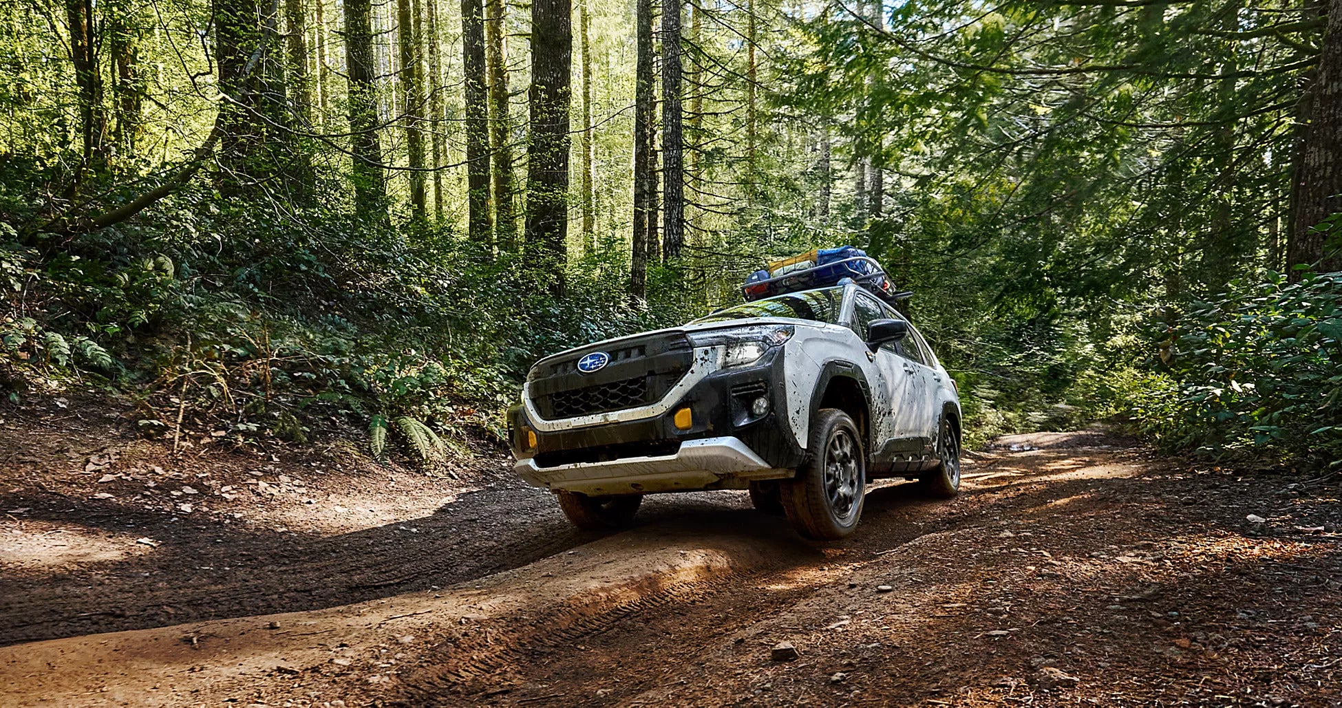 A suv sriving on a dirt path.